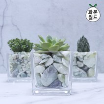 화분월드 옥자갈1.5kg, 1개3호