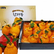이제주몰 한섬누리 서귀포올레 한라봉 선물용 2.5kg(7-11과), 단품없음