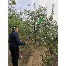 스프레이 건 인공 수정 꽃가루 살포기 분무기 교배, 표준 단일 전기 수분자