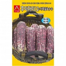 아시아종묘 옥수수종자씨앗 자흑찰옥수수(700g)