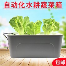 수경줄 재배 디바이스 씨래기 저절로 물갈이 딸기화분 가든픽, T02-산소증폭 물 배상자 벨트펌프, C01-크다