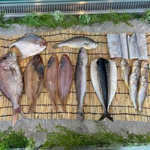 김서방네어물전 국내산 여수 특산품 반건조생선 선물세트 제수용 김서방이 직접 만든 반건조 생선(참돔 병어 민어 서대 고등어 참조기 부세조기), 999, 병어(대)