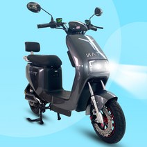 전기 전동 스쿠터 에코드라이브 타이탄1000 60V 800W 30Ah 에코라이즈 보험가입가능, 그레이, 30Ah(60km주행)