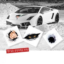 기스 흠집 실사같은 3D 차량용 스티커 래핑 튜닝용품, 1개, 소녀눈