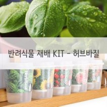 키우기쉬운 반려식물 미니화분 재배 세트 허브바질