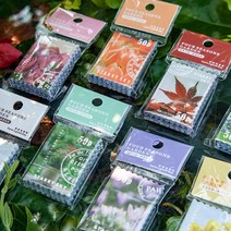 감성 꽃 플라워 다꾸 레터링 우표 스티커 8종 다이어리꾸미기, 5.플로랄 (ST-2396)