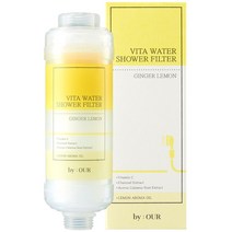 바이아우어 더 안심 비타민 샤워필터 1개입, 1개