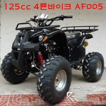 seastar 125CC 4륜바이크 AF-005