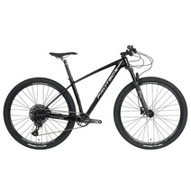 프로텍스 덕웨이12 DUGWAY S12 스람12단 29인치 카본MTB자전거, 완조립, 19 - 블루