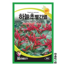 하늘초빨간별 30립 / 텃밭 종자 고추씨앗 고추종자