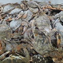 백령도 제철 돌게 급냉 박하지 민꽃게 게장용 돌게장 몽당 다리없음 3kg(암수랜덤)