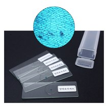 과학실험키트-프레파라트(양파 표피세포 5pcs), 상세페이지 참조