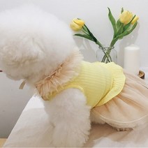 애견용품 애견의류 강아지옷 케이프 데일리 봉봉, White:L
