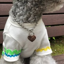 [빅애플]강아지 목걸이 애견 인식표 반려견 이름표[바보사랑], 기본체인／하트펜던트, 기본체인/하트펜던트