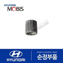 순정 타이어 공기주입구 캡 밸브 (은색) (52937A5000)