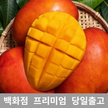 애플망고 3.5kg 애플망고 쥬스 대용량 과일 열대 망고 430375EA, 1, 본상품선택