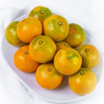 [예성상회] 고당도 하우스감귤 실중량, 하우스감귤 로얄과 (S,M) 2.5KG