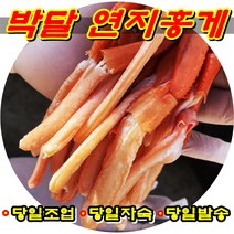 국산 포항 구룡포 홍게 박달 연지 홍게 당일조업 당일자숙 당일발송, 일반형 연지홍게 3kg