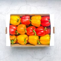 파프리카 노란 빨간 못난이 파프리카 1kg 2kg 5kg 피망, 못난이 가정용 파프리카 1kg, 빨강/노랑[사이즈혼합], 1개