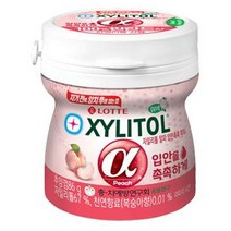 롯데 자일리톨 알파 입안촉촉 졸음번쩍껌 공부할때 씹는 검 86g, 1개