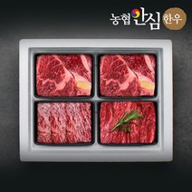농협안심한우 혼합1호 선물세트 1.2kg (등심2팩/채끝/국거리)