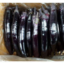 새벽들 못난이 가지, 5kg, 2개