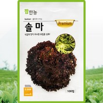 솔마 상추 씨앗 유럽상추 씨 종자 100립, 단품
