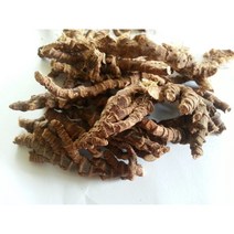 국내산석창포6kg 벌크판매 창포전문농원직판, 6kg, 1개