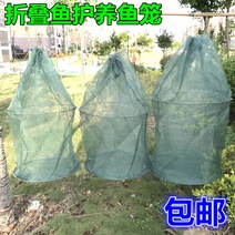살림망 접이식 기르기 통발 새우 미꾸라지 엘로 드렁허리 꽃게 뒤집게 메쉬 박스 새장에 매달기 x2개 2040084357, 큰 코일 직경 60 하이 1. 1메터