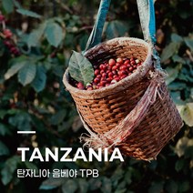 [커피생두] 탄자니아 음베야 TPB 5kg