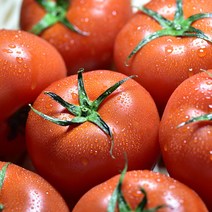 완숙 찰 토마토 5KG 중과 (당일배송), (3번) 5KG