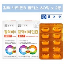 비타민B 컴플렉스 콤플렉스 복합제 비타민B군 영양제 종근당 활력 비타민B 플러스 복합체 비타민비군 2통