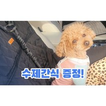 강아지 안전벨트 차량용 반려견 목줄 애견 충격흡수 리드줄, 클립형, 블랙