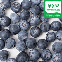 (자연마을) 국내산 무농약 수지블루 블루베리 생과 200g 300g 400g 500g, 무농약 수지블루 블루베리 500g, 1개