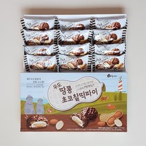 우도땅콩 초코찰떡파이 제주도 특산품, 2개, 432g