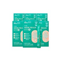 이너랩 차전자피 가르시니아 슬리밍 환 120포 6박스 60일
