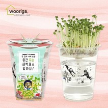 우리가스토리 미니화분키우기 꽃 화초 공기정화식물 새싹 허브 텃밭 화분 상추재배 새싹키우기, 1팩, 한컵새싹농장_무순