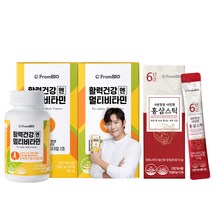 프롬바이오 활력건강엔 멀티비타민 + 홍삼스틱5포, 60정, 2개
