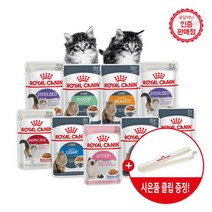 로얄캐닌 고양이파우치 습식 85G +사은품 파우치클립증정 면역력강화도움 체중관리, 85G X 12개, 인스팅티브 로프