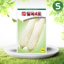 솔림텃밭몰 흰찰옥수수씨앗 700g 옥수수씨앗 찰옥4호 중만생종, 1개