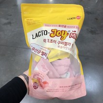 종근당건강 락토조이 유산균 젤리 600g / 25g X 24 코스트코 복숭아 망고 프리바이오틱스