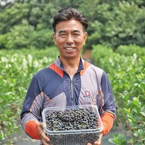 아로니아 꼭지제거 2022년 아로니아생과 블랙쵸크베리, 1box, 5kg