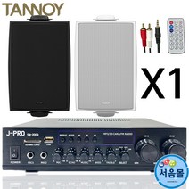 탄노이 DVS4 강의실 회의실 업소용 벽걸이 스피커 1