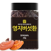 영지버섯환 250g 국산 국내산, 단품