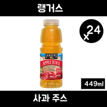 랭거스 사과 주스, 449ml, 24개