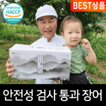 [풍천장어] 고창 풍천 민물장어(구이용 손질 생장어) 자포니카, 1box, 3kg