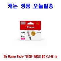 【B_⑥①②】《 PC&프린터*소모품 코너 ▶캐논 Mommy Photo TS8290 정품잉크 빨강 CLI-981_180521.ECO!◀ 》【Bao_bab】, 쿠팡 1, 쿠팡 본상품선택