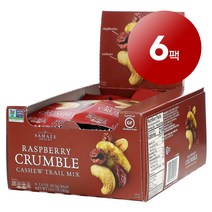 리암마켓 Sahale Snacks 사헬 스낵 캐슈 트레일 믹스 라즈베리 크럼블 9개입 각 42.5g 1팩, 6팩