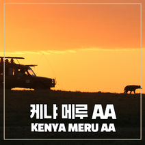 (커피생두) 80 케냐 메루 AA 500g