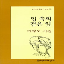 입 속의 검은 잎 - 기형도